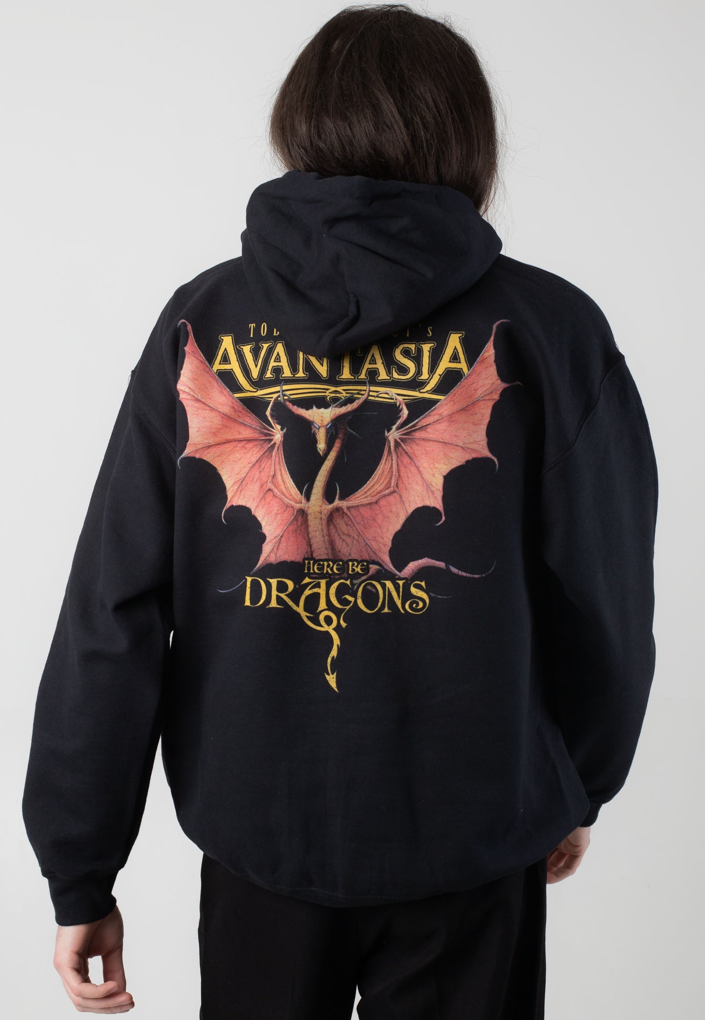 Avantasia - Here Be Dragons - Hoodie | Men-Image